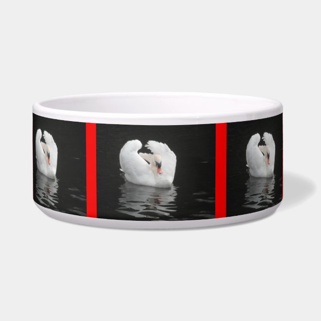 Dog Bowl Swan River Swimming (Front)