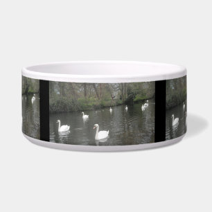 Dog Bowl Swans River Swimming