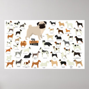 Dog Breed Poster