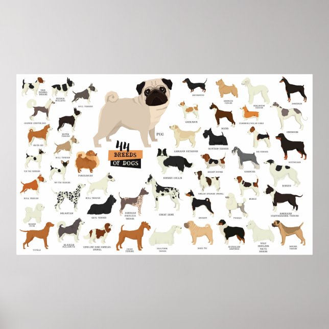 Dog Breed Poster (Front)