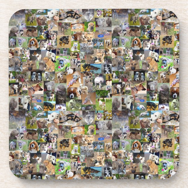 Dog Breeds Photo Collage,  Coaster (Front)