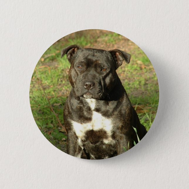 Dog breeds Staffy 6 Cm Round Badge (Front)