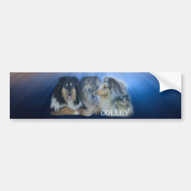 dog bumper sticker (Front)
