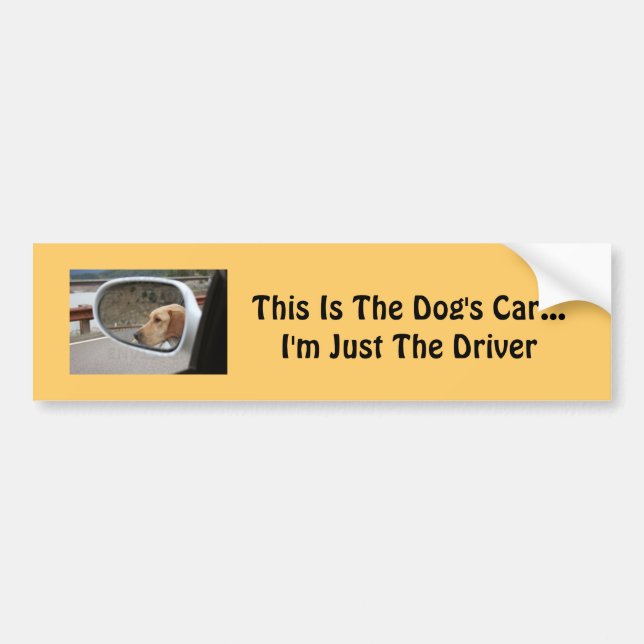 Dog Bumper Sticker (Front)