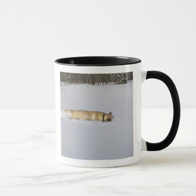 Dog burrowing in snow mug (Right)