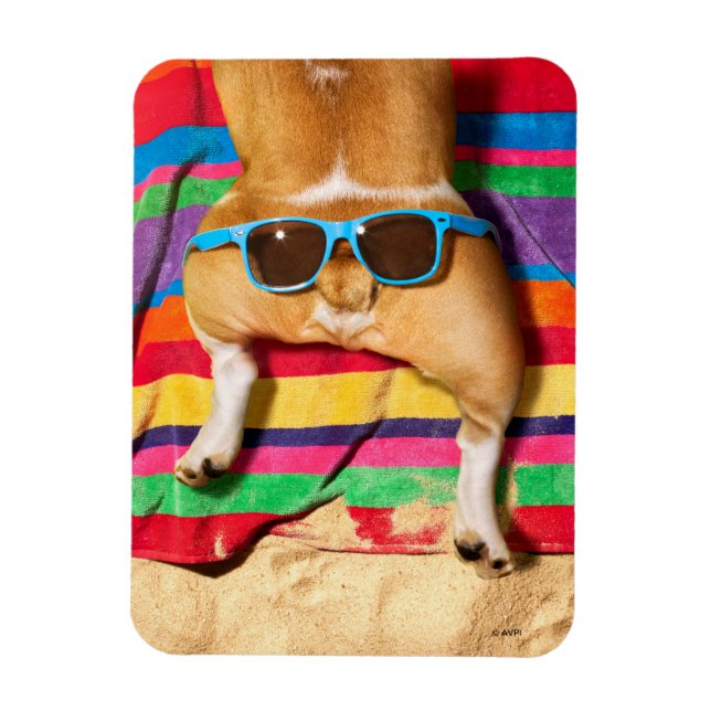 Dog Butt With Sunglasses Magnet (Vertical)