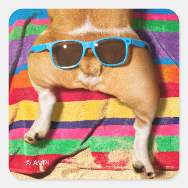 Dog Butt With Sunglasses Square Sticker (Front)