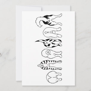 Dog Butts Thank You Card