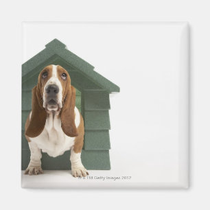 Dog by doghouse magnet