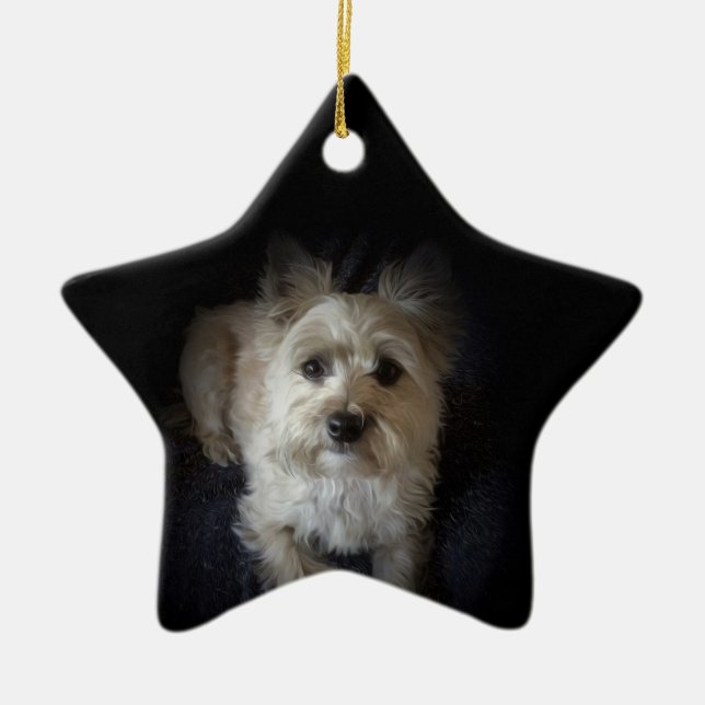 Dog Cairn Terrier Canine “Dog Lover” Star Ornament (Front)