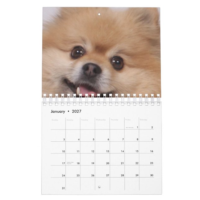 Dog Calendar (Jan 2027)