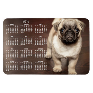 Dog calendar 2016 Photo Large Magnet 4x6