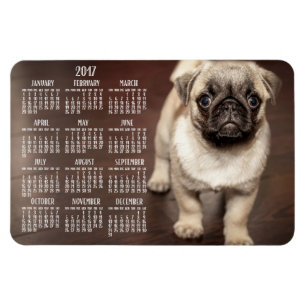 Dog calendar 2017 Photo Large Magnet 4x6