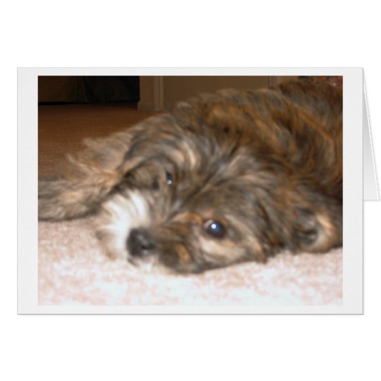 Dog Card