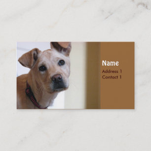 Dog card