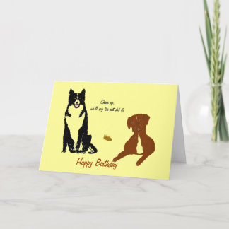 Dog card, funny. card