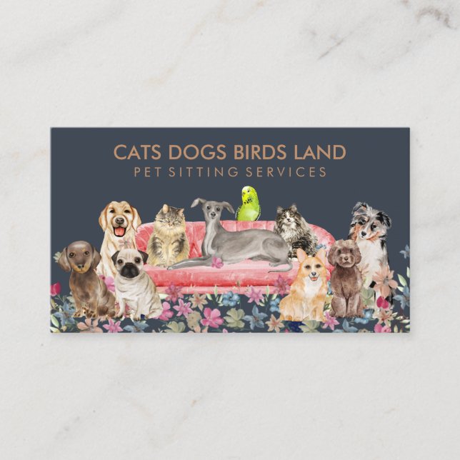 Dog Cat Bird Hotel Sofa Pet Sitting Business Card (Front)