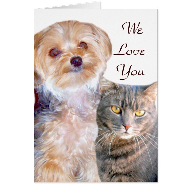Dog & Cat,Love_ (Front)
