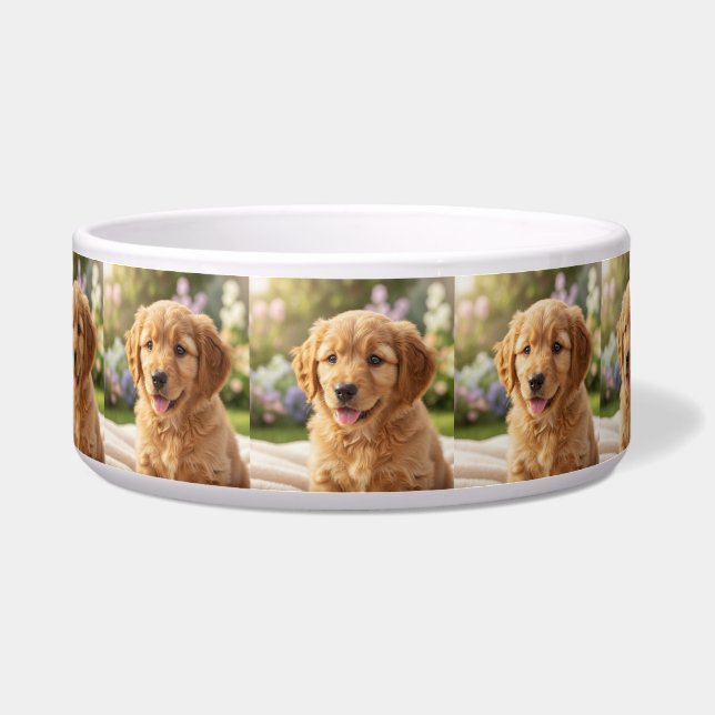 Dog cat pet name photo template simple minimal  (Front)