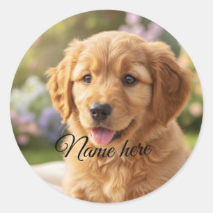 Dog cat pet name photo template simple minimal classic round sticker