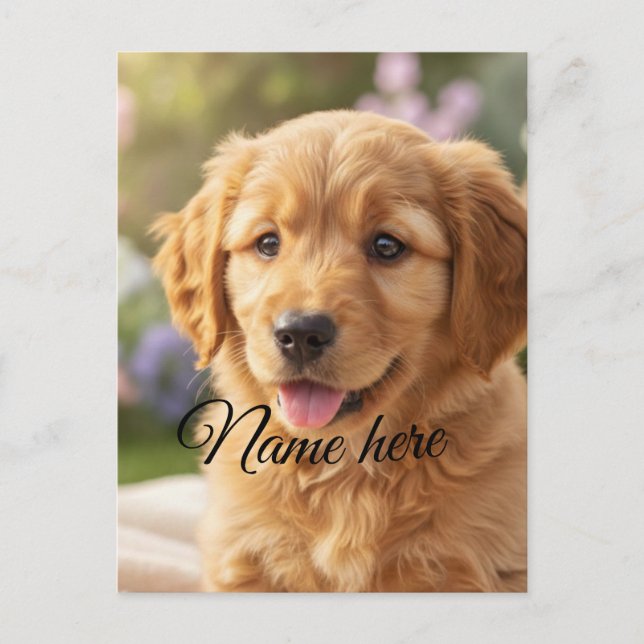 Dog cat pet name photo template simple minimal  postcard (Front)