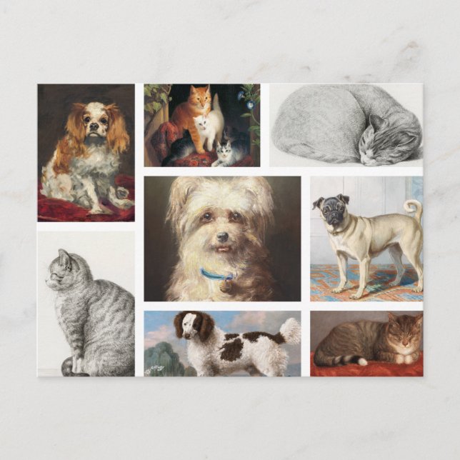 Dog Cat Pets 8 Photo Portrait Collage Keepsake Holiday Postcard (Front)