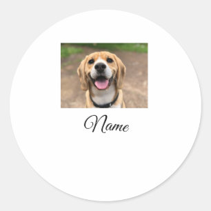 Dog cat photo add pet name cu custom personalised  classic round sticker