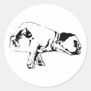 Dog & Cat Resting Together Monochrome Sticker