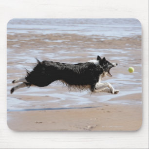 Dog chasing a ball at the beach mouse pad