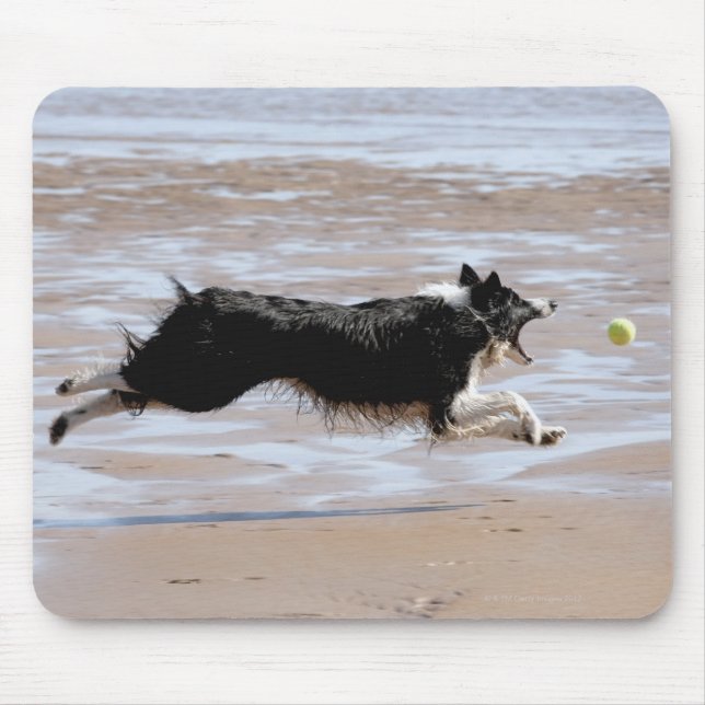 Dog chasing a ball at the beach mouse pad (Front)