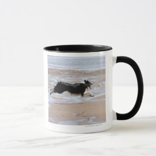Dog chasing a ball at the beach mug