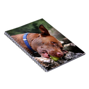 Dog Chewing / Nose Close Up / Macro 2 Notebook