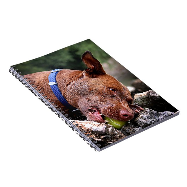 Dog Chewing / Nose Close Up / Macro 2 Notebook (Right Side)