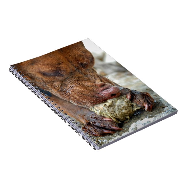 Dog Chewing / Nose Close Up / Macro Notebook (Right Side)