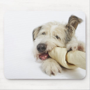 Dog Chewing on Rawhide Bone Mouse Pad