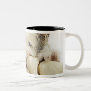 Dog Chewing on Rawhide Bone Two-Tone Coffee Mug