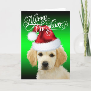 DOG Christmas   Adorable Golden Santa Puppy Holiday Card