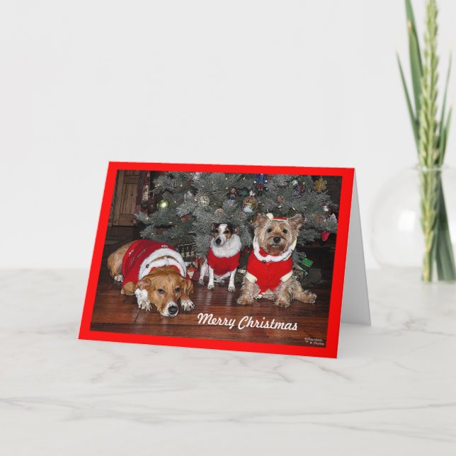 Dog Christmas Card (Front)