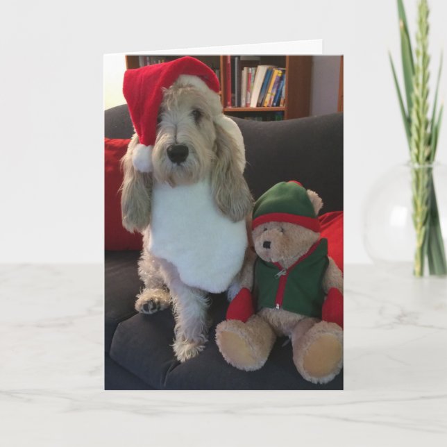 Dog Christmas Card (Front)
