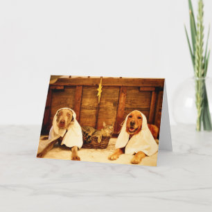Dog Christmas Holiday Card