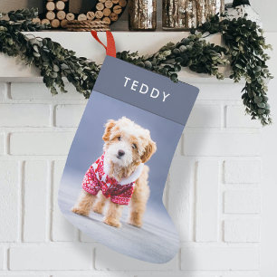 Dog Christmas Modern Cute Blue Pet Photo Small Stocking