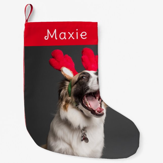 Dog Christmas | Modern Cute Red Pet Photo  Small Christmas Stocking (Front)