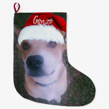 Dog Christmas Photo Personalized Name