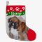 Dog Christmas Stockings - Personalised Photo