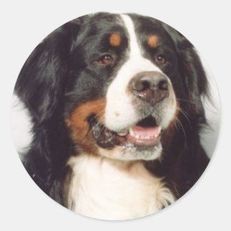 Dog Classic Round Sticker