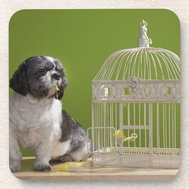 Dog close to a bird cage coaster (Front)