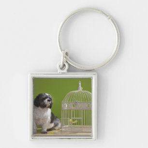 Dog close to a bird cage key ring
