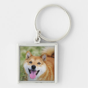 Dog,close-up Key Ring