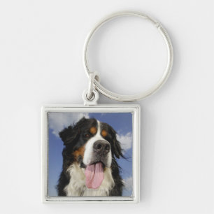 Dog, close-up key ring