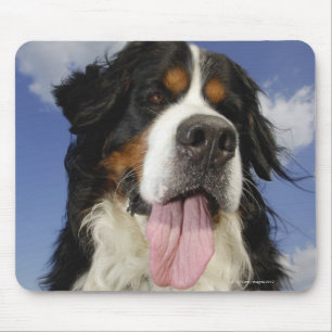 Dog, close-up mouse pad